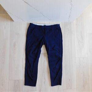 J. Crew Womens Deep Blue Trousers
